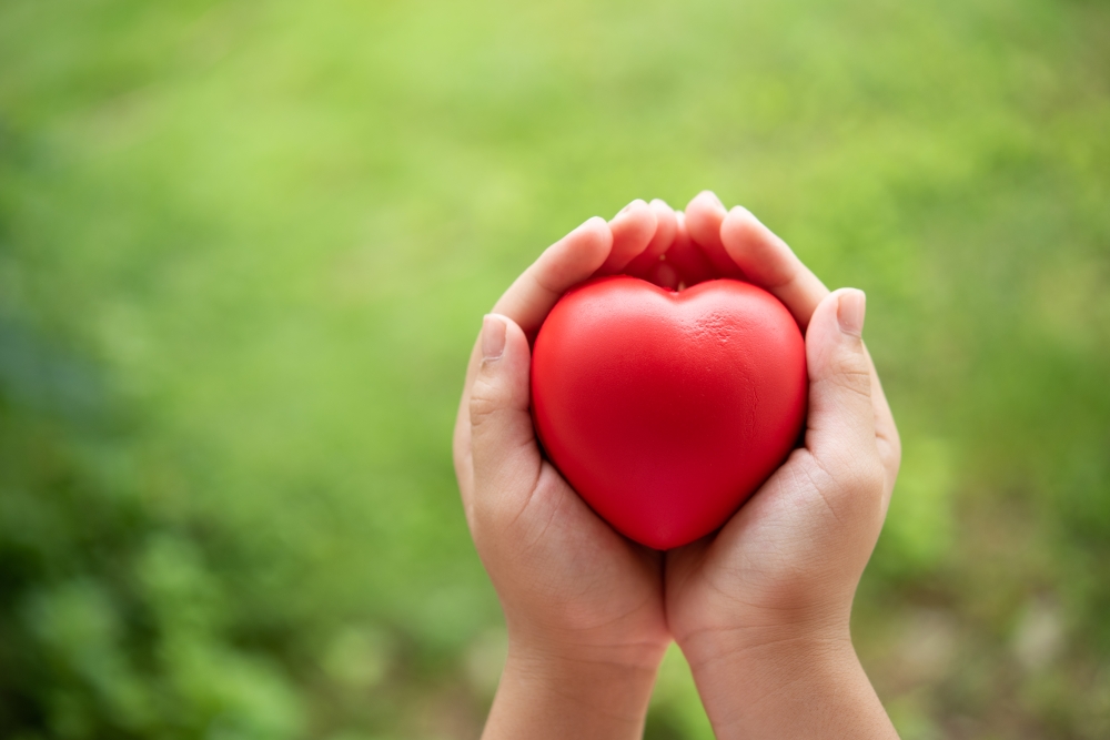 From Overwhelm to Empowerment: What Raising a Child with Autism Taught Me About Love, Strength, and Support