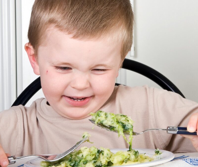 autism zinc deficiency