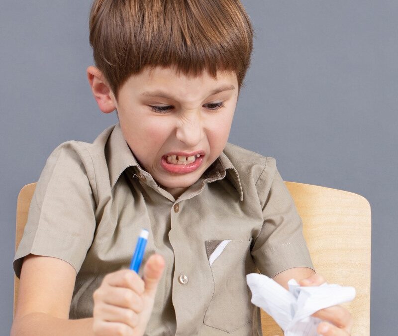 mood stabilizer autism