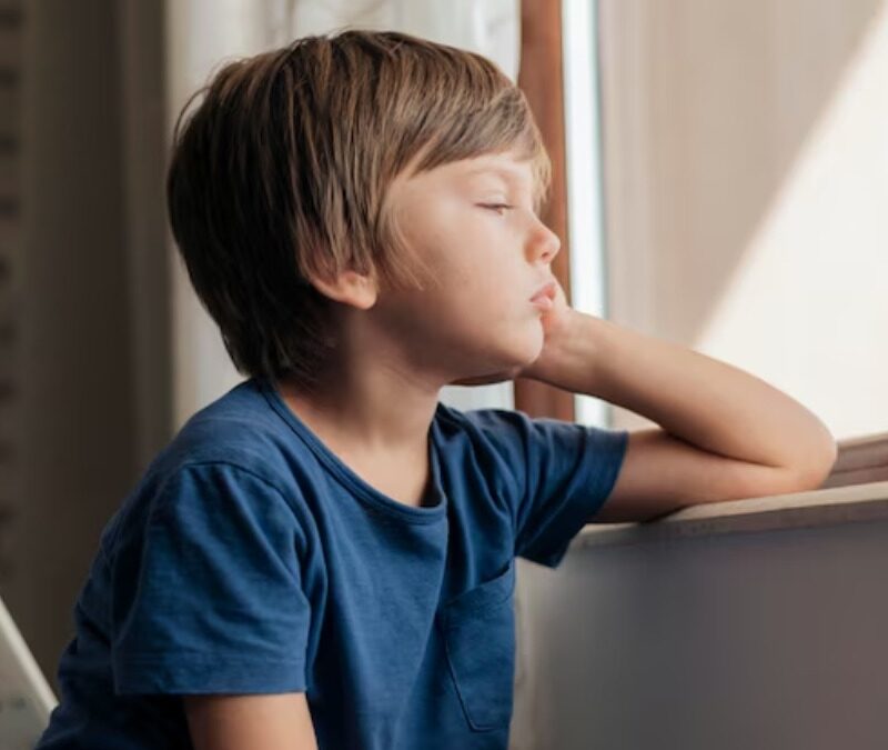 what is an autistic shutdown